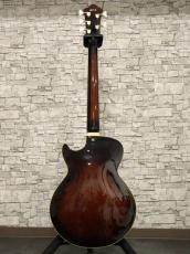 Ibanez AGB205-DVS_11