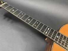 Terry's Terry Premium Terry PTJ-100GM / German Spruce Top・Madagascar Rosewood Side and Back・Abalone Trim and Rosette・Honduras Mahogany and Maple 5P Neck・Ebony Fingerboard・本鼈甲 Pick-guard・【With Original Hard Case】_9