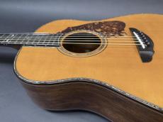 Terry's Terry Premium Terry PTJ-100GM / German Spruce Top・Madagascar Rosewood Side and Back・Abalone Trim and Rosette・Honduras Mahogany and Maple 5P Neck・Ebony Fingerboard・本鼈甲 Pick-guard・【With Original Hard Case】_13