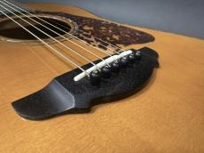 Terry's Terry Premium Terry PTJ-100GM / German Spruce Top・Madagascar Rosewood Side and Back・Abalone Trim and Rosette・Honduras Mahogany and Maple 5P Neck・Ebony Fingerboard・本鼈甲 Pick-guard・【With Original Hard Case】_14
