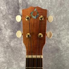 G String C1CB_2