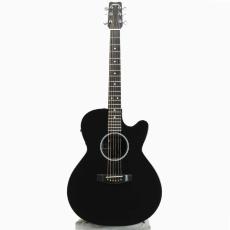 Rainsong A-WS1000_2