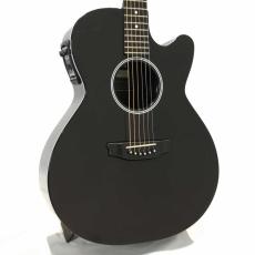 Rainsong A-WS1000_4