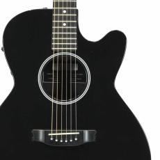 Rainsong A-WS1000_5