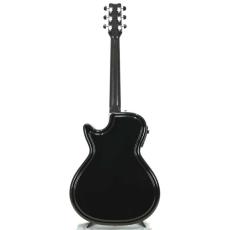 Rainsong A-WS1000_11