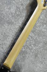 FUJIGEN BCTE100RBD 3Tone Sunburst #D240158【軽量3.33kg】【国産エントリーモデル!】_7