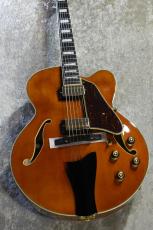 Ibanez AF95 Dark Amber #PW25030316【2.89kg】【Super 58搭載/フルアコ】_5