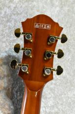 Ibanez AF95 Dark Amber #PW25030316【2.89kg】【Super 58搭載/フルアコ】_8