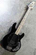 Sterling by MUSIC MAN SUB Series StingRay Ray4 BK  Black/Hard Maple  #B211621【4.10kg】【ST-RAY4-BK-M1】_2