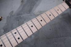 Charvel USA Custom Shop Warren De Martini/ Signature / SnakeSkin Graphic　(1)_4
