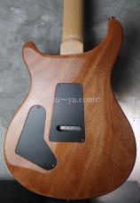 Paul Reed Smith [PRS] Custom 24 Floyd 10-Top/ Killer TOP/ Faded Blue Jean_2