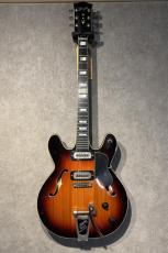 Hoyer Hoyer 60s Semi Hollow Made in Germany_2