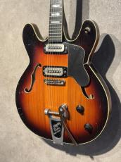 Hoyer Hoyer 60s Semi Hollow Made in Germany_3