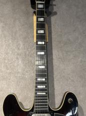 Hoyer Hoyer 60s Semi Hollow Made in Germany_7