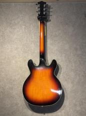 Hoyer Hoyer 60s Semi Hollow Made in Germany_9