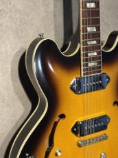 Provision  2000s 1962 Casino McC Style Semi Acoustic One Of Kind!!_6