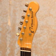 g7 Special g7-TL Lightly Relic_3