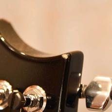 Paul Reed Smith [PRS] Single Cut Trem 10Top_5