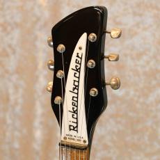 Rickenbacker 320_3