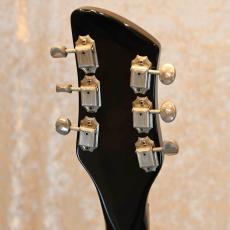 Rickenbacker 320_4