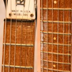 Rickenbacker 320_5