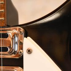 Rickenbacker 320_6
