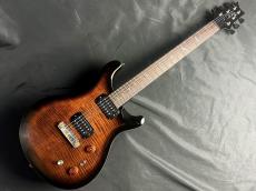 Paul Reed Smith [PRS] SE Pauls Guitar(DC)_2