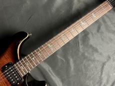 Paul Reed Smith [PRS] SE Pauls Guitar(DC)_4