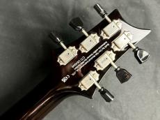 Paul Reed Smith [PRS] SE Pauls Guitar(DC)_9
