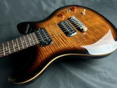 Paul Reed Smith [PRS] SE Pauls Guitar(DC)_10