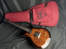 Paul Reed Smith [PRS] SE Pauls Guitar(DC)_11