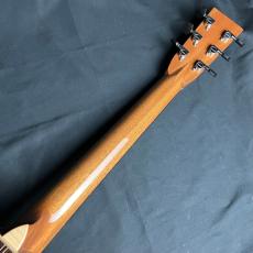 ASTURIAS Solo LTD/C/PU_7