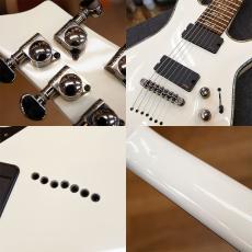 SCHECTER AD-C-7-HR HELLRAISER C-7_6