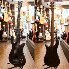 Warwick Pro Series Streamer LX 5_2