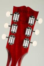 Gibson Les Paul Junior Double Cutaway Tortoise Vintage Cherry【S/N 226240220】_8