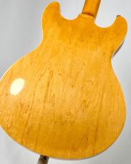 Aria Pro II 【1989年製】TA-65 -Natural-【3.00kg】_8