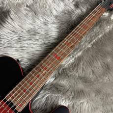 SCHECTER PA-SM/SH -Mat Black 【SiM SHOW HATE model】 【現物画像】【最大36回分割無金利キャンペーン実施中】_9