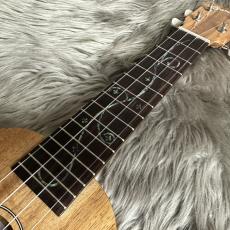 Famous FS-5G/TOL 【Famous × HATTA works】 【国産、ウクレレビルダー 八田淳史氏】【100本限定】 【現物画像】_8