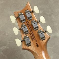 Paul Reed Smith [PRS] SE ROCK LADY LTD_11