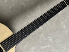 Taylor 110ce-S_5