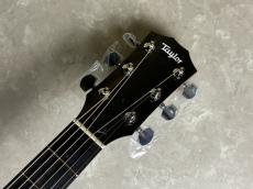Taylor 110ce-S_6