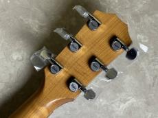 Taylor 110ce-S_10