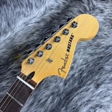 Fender Player II Mustang Cactus Gray_5