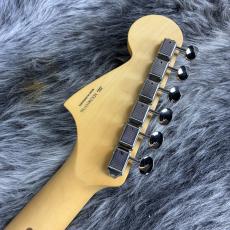 Fender Player II Mustang Cactus Gray_9