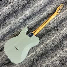 Fender Player II Telecaster HH Cactus Gray_7