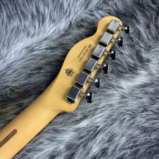Fender Player II Telecaster HH Cactus Gray_9