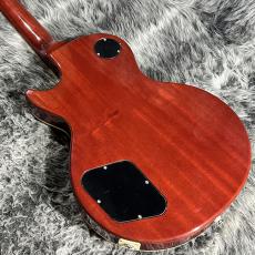 Tokai LS-Smoggy_5