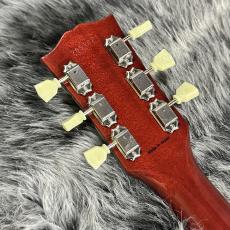 Tokai LS-Smoggy_7