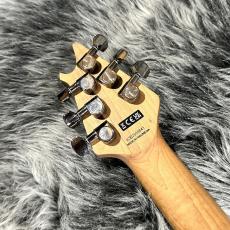 EVH Wolfgang WG Standard QM Northern Lights Baked Maple_7