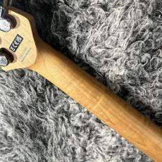 EVH Wolfgang WG Standard QM Northern Lights Baked Maple_8